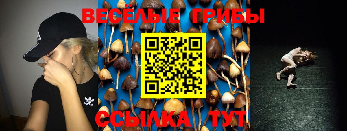 Нефтекумск  закладка  Вход с VPN  Галлюциногенные грибы Psilocybe 